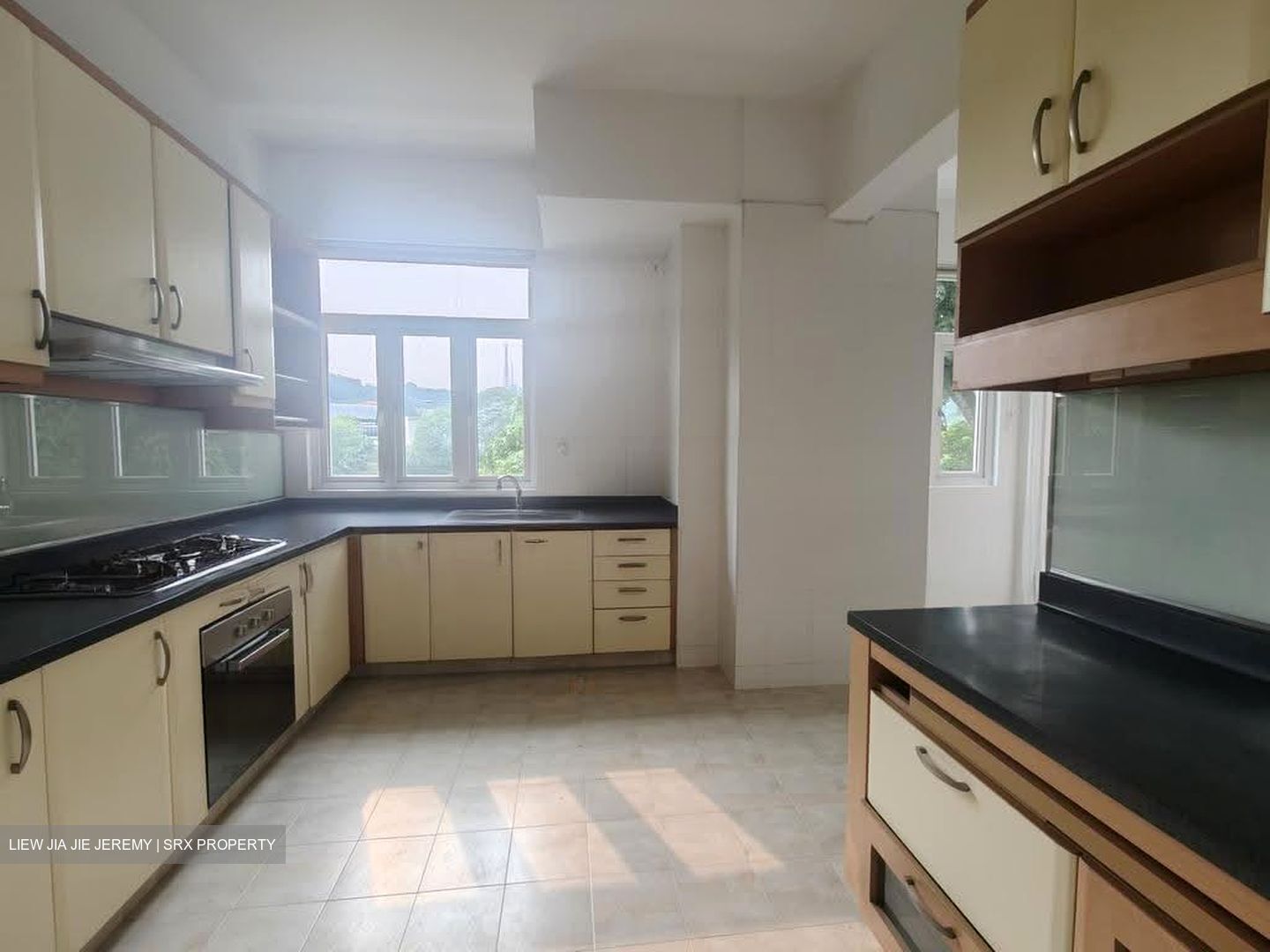 La Suisse (D11), Condominium #619586741